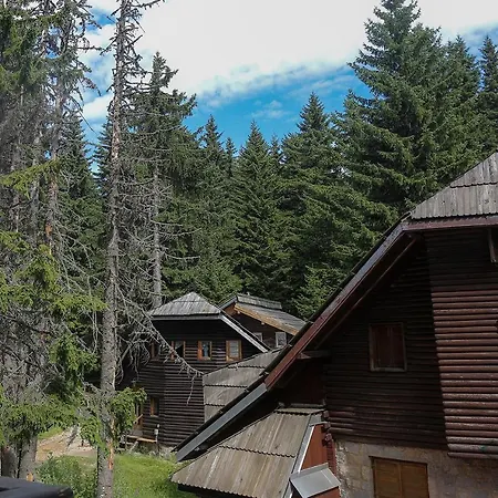 Zvoncica, Vin Kopaonik