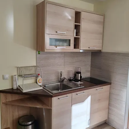 Apartment Zvoncica, Vin Kopaonik